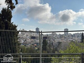 מרתון ירושלים 2023 , ליקר-גדר שנה שלישית ברציפות - תמונה: 3