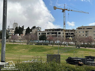 מרתון ירושלים 2023 , ליקר-גדר שנה שלישית ברציפות - תמונה: 5